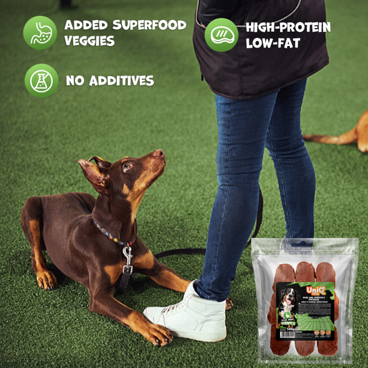 UNIQ PETS PRZYSMAKI DLA PSA CHEWY 500g lody z kaczką i warzywami
