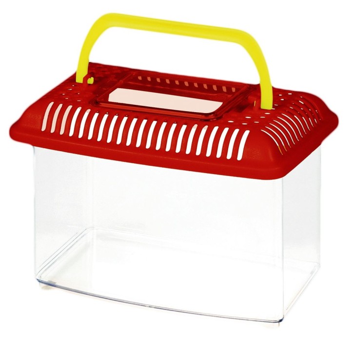 Akwarium małe na ryby 2,5L PICCOLO 22x14x15cm