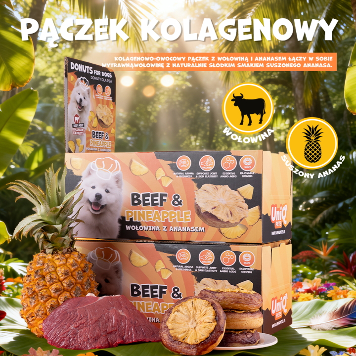 UNIQ PETS PRZYSMAKI DLA PSA COLLAGEN & FRUIT 30g x 10 szt. - donut kolagenowy z wołowiną i suszonym ananasem, 7 cm