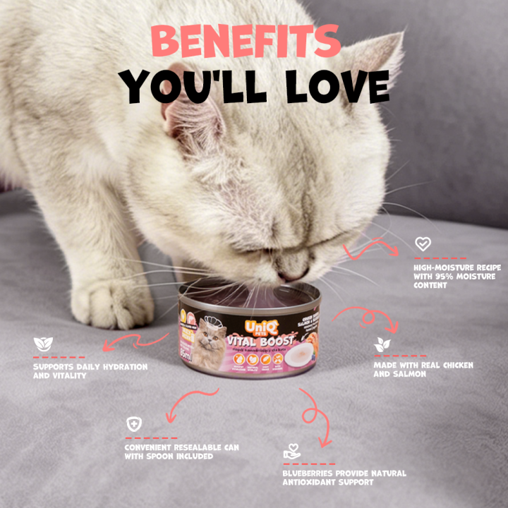 UNIQ PETS KARMA MOKRA DLA KOTA DAILY DRINK VITAL BOOST NAPÓJ NAWADNIAJĄCY szarpany kurczak, łosoś i jagoda, 85 ml x 8 szt., pusz