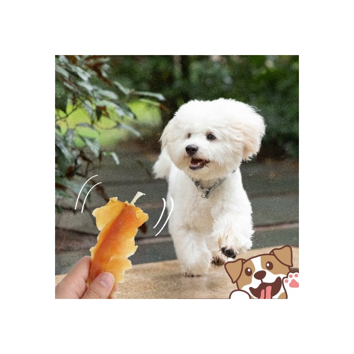 PAWFECT BITES filet z piersi kurczaka przysmaki dla psa 500g