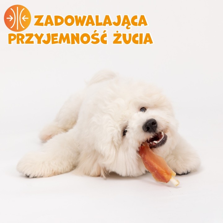 PAWFECT BITES filet z piersi kurczaka przysmaki dla psa 500g