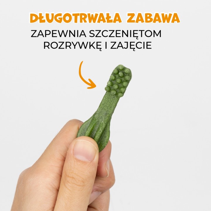 PAWFECT BITES przysmaki dla psa szczoteczki dentystyczne (miętowe) 500g