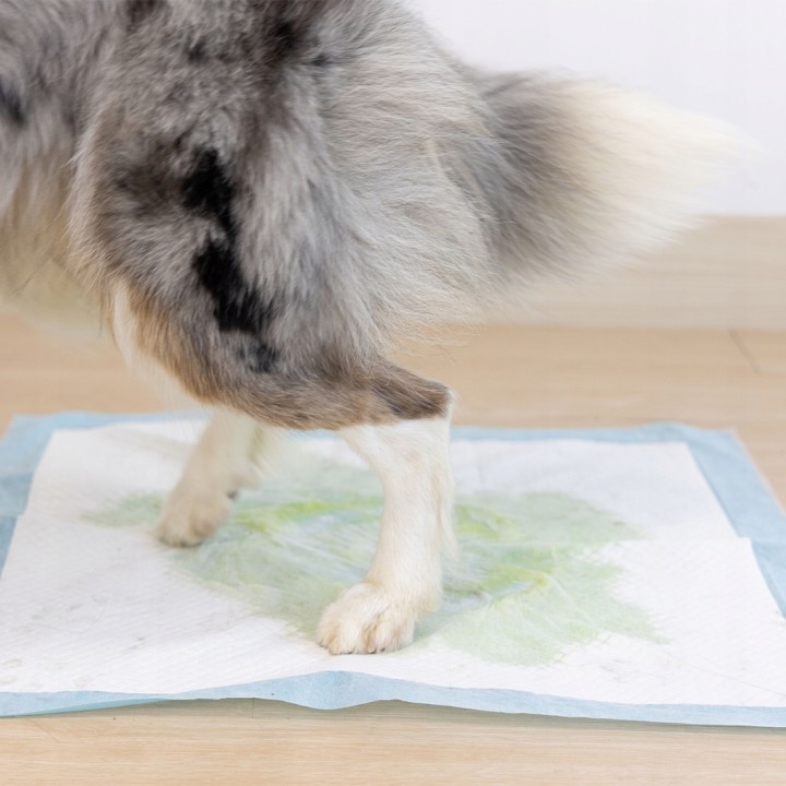UNIQ PETS Podkłady higieniczne FRESHPAD niebieskie 10 szt.