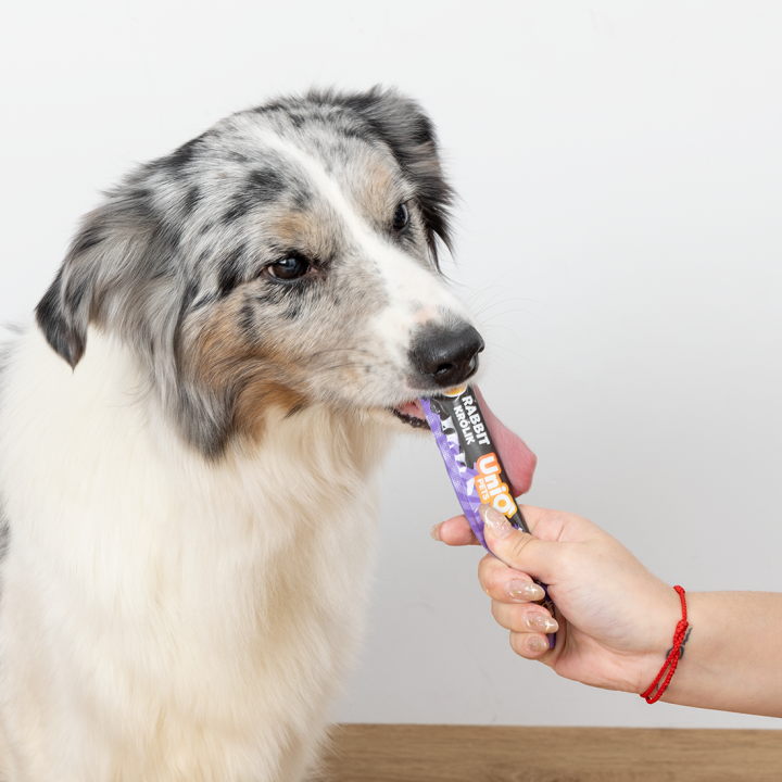 UNIQ PETS Przysmaki dla psa z królika krem w saszetkach 15g x 50szt WUFFCREAM