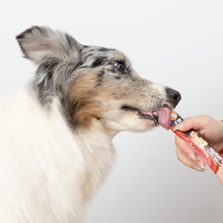 UNIQ PETS Przysmaki dla psa z wołowiny krem w saszetkach 15g x 50szt WUFFCREAM