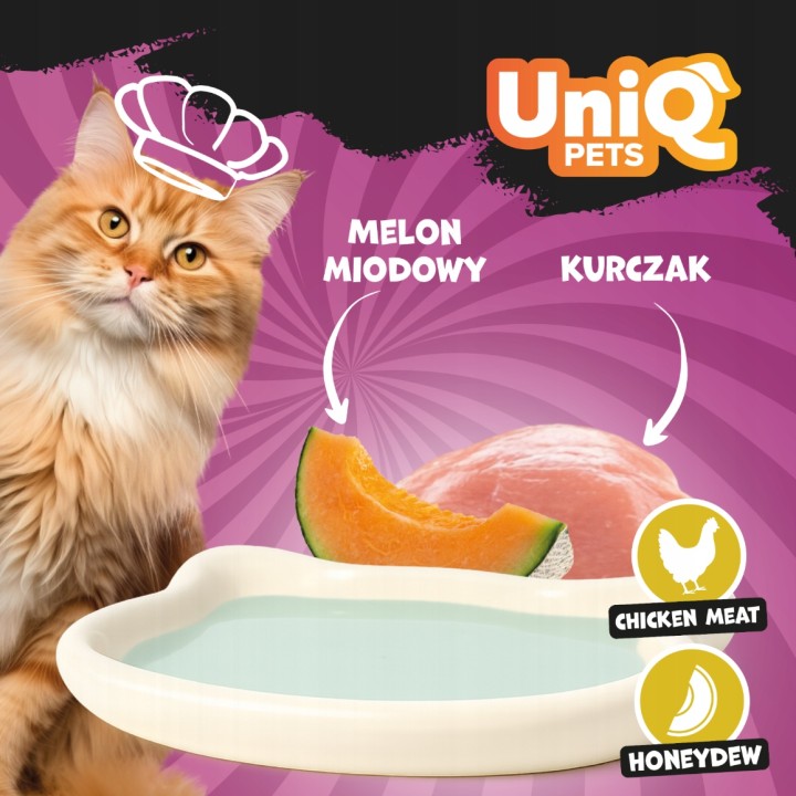UNIQ PETS Karma mokra dla kota kremowy shake z kurczakiem i melonem 60g x 6szt. DELIGHT SHAKE