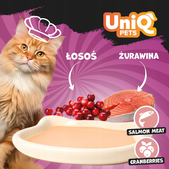 UNIQ PETS Karma morka dla kota kremowy shake z łososiem i żurawiną 60g x 6szt. DELIGHT SHAKE